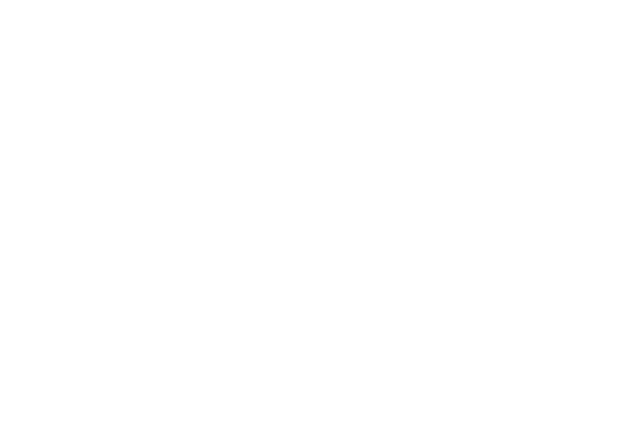 Interkulturelle Woche Schaumburg